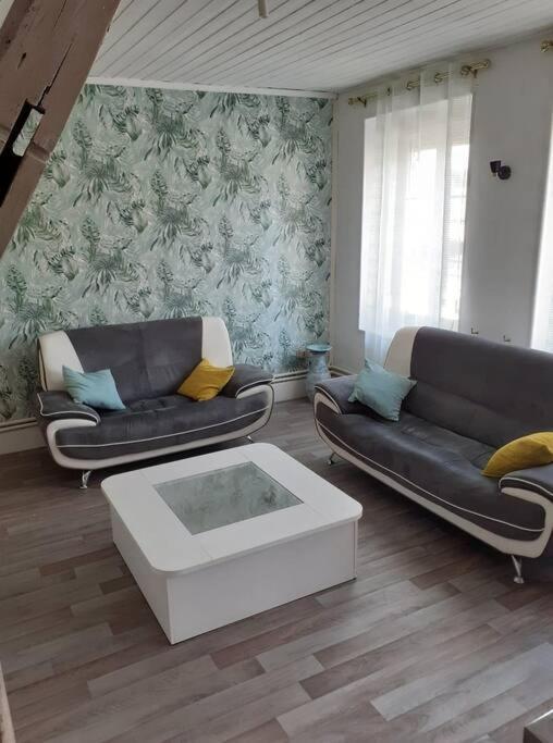Super Logement En Plein Coeur De La Ville , Chez Tify Brienne-le-Chateau Exterior foto